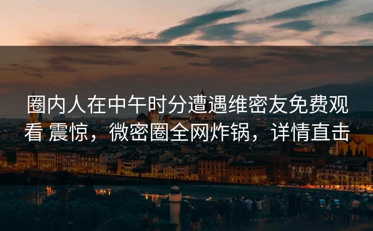 圈内人在中午时分遭遇维密友免费观看 震惊,微密圈全网炸锅,详情直击