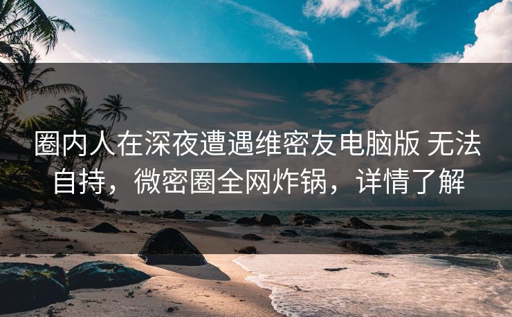 圈内人在深夜遭遇维密友电脑版 无法自持,微密圈全网炸锅,详情了解
