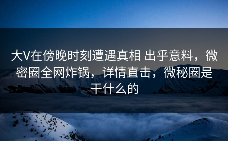 大V在傍晚时刻遭遇真相 出乎意料，微密圈全网炸锅，详情直击，微秘圈是干什么的