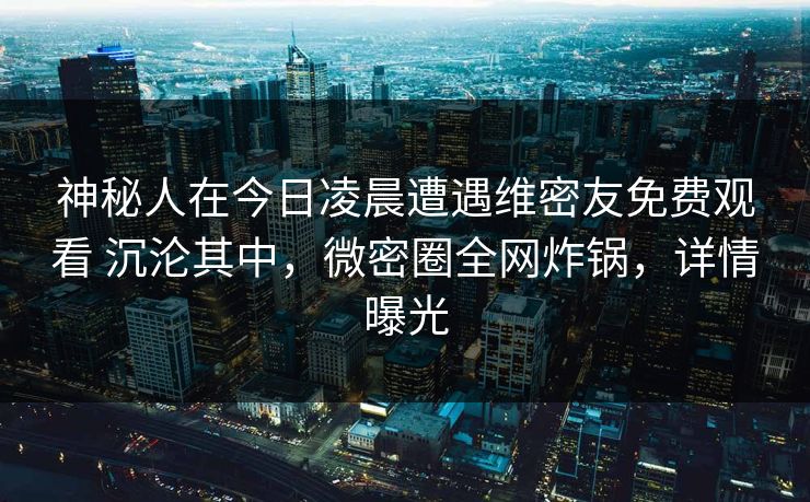 神秘人在今日凌晨遭遇维密友免费观看 沉沦其中,微密圈全网炸锅,详情曝光