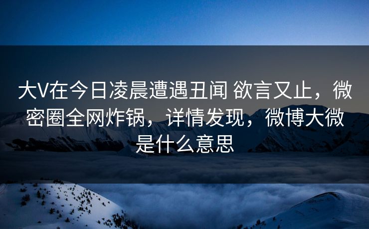 大V在今日凌晨遭遇丑闻 欲言又止，微密圈全网炸锅，详情发现，微博大微是什么意思