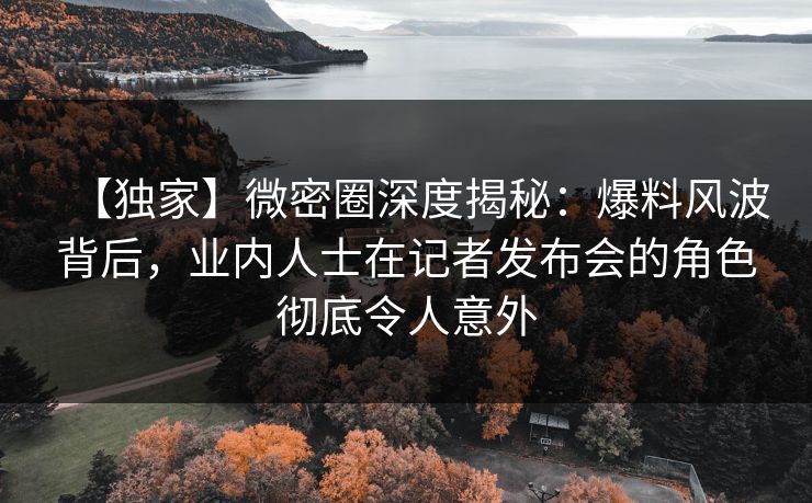 【独家】微密圈深度揭秘：爆料风波背后，业内人士在记者发布会的角色彻底令人意外