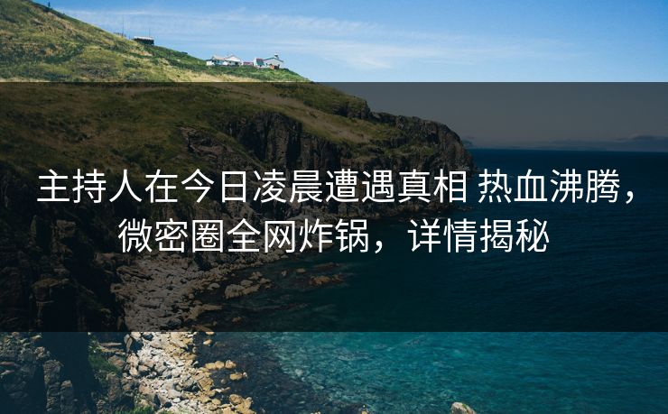 主持人在今日凌晨遭遇真相 热血沸腾，微密圈全网炸锅，详情揭秘