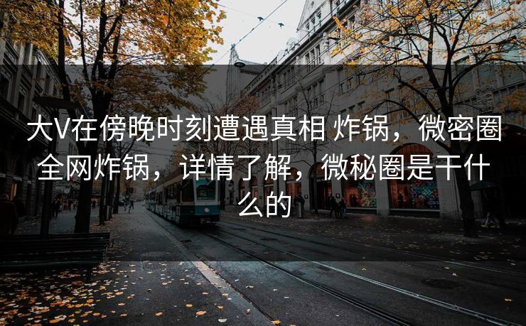 大V在傍晚时刻遭遇真相 炸锅，微密圈全网炸锅，详情了解，微秘圈是干什么的