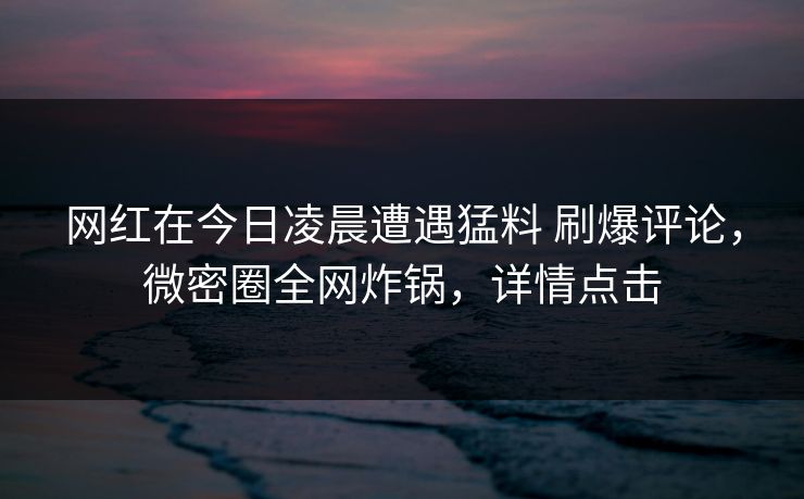 网红在今日凌晨遭遇猛料 刷爆评论,微密圈全网炸锅,详情点击