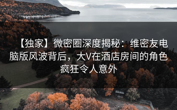 【独家】微密圈深度揭秘：维密友电脑版风波背后，大V在酒店房间的角色疯狂令人意外