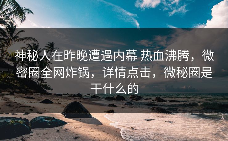 神秘人在昨晚遭遇内幕 热血沸腾，微密圈全网炸锅，详情点击，微秘圈是干什么的