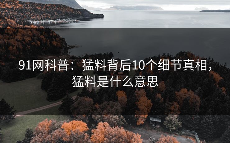 91网科普:猛料背后10个细节真相,猛料是什么意思