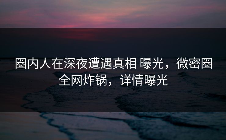 圈内人在深夜遭遇真相 曝光，微密圈全网炸锅，详情曝光