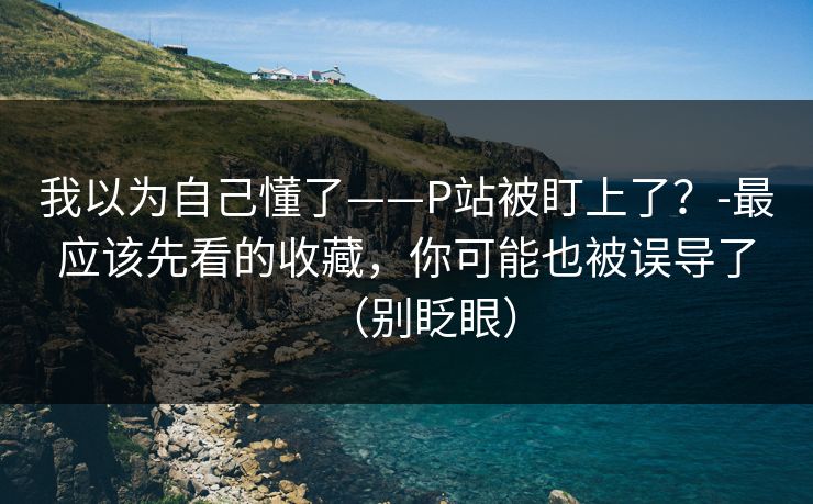 我以为自己懂了——P站被盯上了？-最应该先看的收藏，你可能也被误导了（别眨眼）